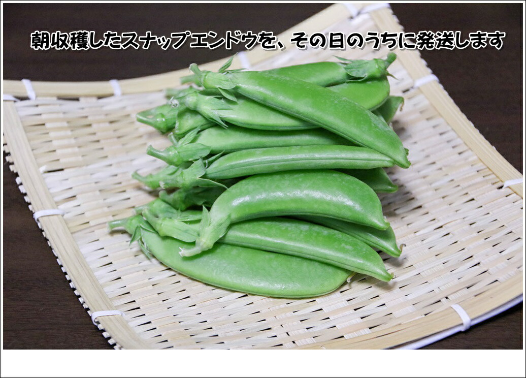 佐藤さんちのスナップエンドウ1kg箱入り酒のつまみにいかがですか?3箱で送料0円ゆうぱっくで発送します