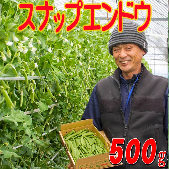 佐藤さんちのスナップエンドウ1kg箱入り酒のつまみにいかがですか?3箱で送料0円ゆうぱっくで発送します