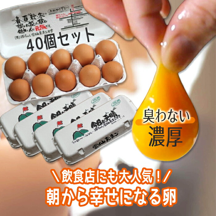 訳ありヤングコーン star.milk 楽天市場】訳あり ヤングコーン 45〜55本 3.5kg以上 チルド便