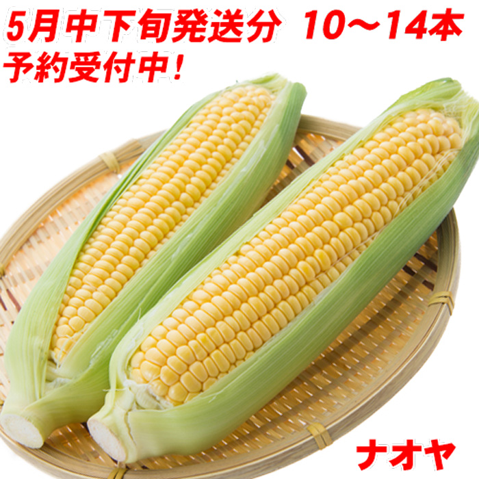 とうもろこし ゴールドラッシュ 10〜14本 ４kg以上 一箱満量 バーベキュー BBQ 送料無料 九州 島原産 農家 産地 直送 朝もぎ プレゼント ギフト