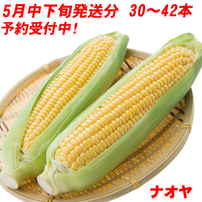 楽天市場 野菜 果菜類 とうもろこし 九州島原 新鮮野菜直送便 ナオヤ