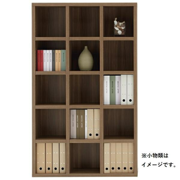 本棚 おしゃれ 収納 棚 ラック コミックラック 家具 書籍 漫画 書棚 ニューラチス FBD-110T リアルウォールナット (配送員設置)