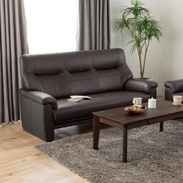 ３人掛けソファ マーレ 奥浅(78cm) D-T2448 (配送員設置) 62,700円
