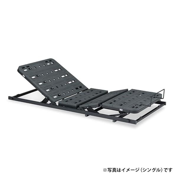 フランスベッド シングル電動社会的単位 ＴＲＧ３１Ｎ ０ (送りとどける員備え付ける)