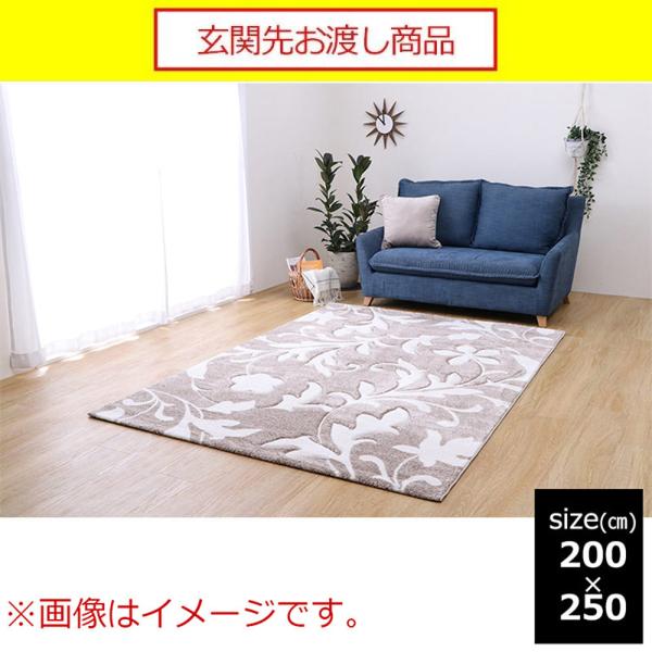 ラグ　ネム　ＢＥ　２００ｘ２５０ (玄関先お渡し商品)