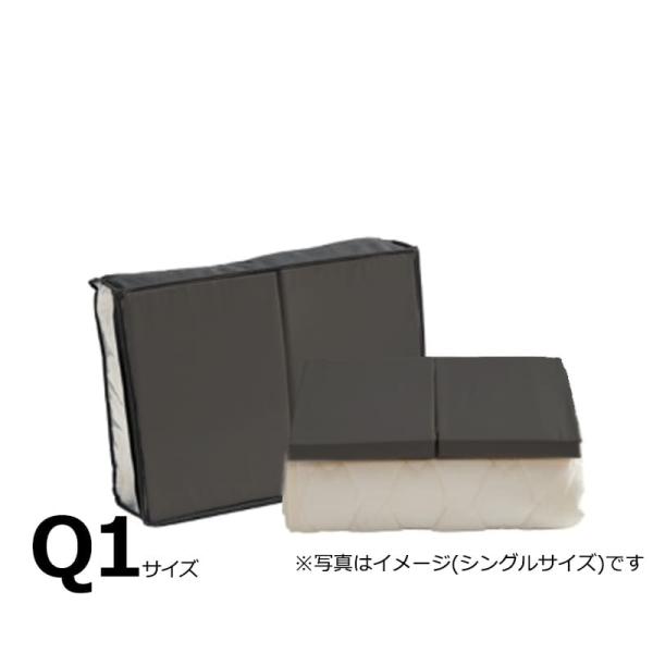 【寝装品3点仕掛ける】サータＬＸ羊毛 広広としたダブル Ｈ３０ ＰＤ１５０ 薄墨色 (部屋の入り口先お乗り合い船商いもの)