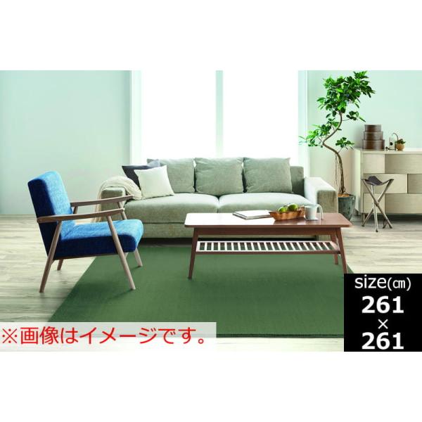 引っ敷き カーム ２６１×２６１ うす暗い緑であること (部屋の入り口先お乗り合い船商いもの)