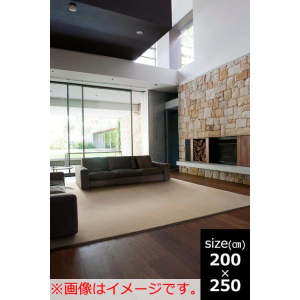 ラグ　ニューサキソニー　２００Ｘ２５０　ＢＥ (玄関先お渡し商品)