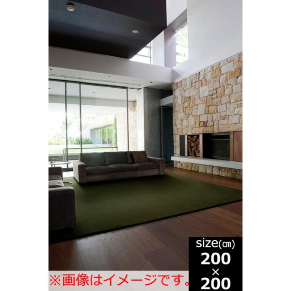 ラグ　ニューサキソニー　２００Ｘ２００　ＧＮ (玄関先お渡し商品)