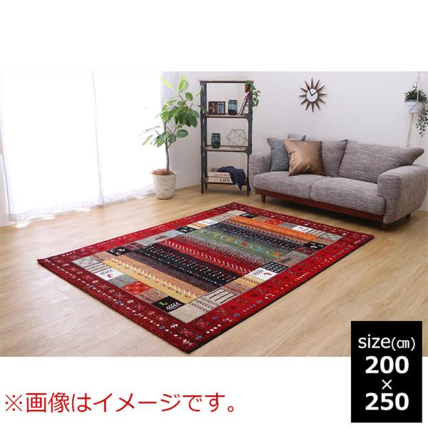 イビサ　ＲＥ　２００×２５０ｃｍ (玄関先お渡し商品)