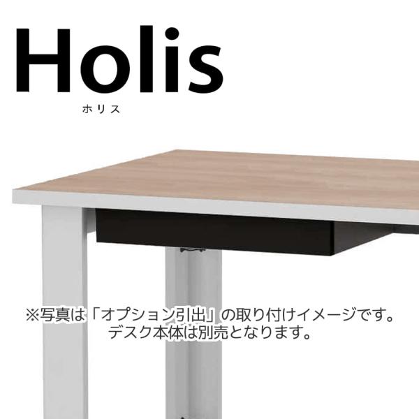 オプション抽き出し Holis(ホリス) DD-HP43E-B「部屋の入り口先お乗り合い船・取り引き先精神的な統合商いもの」