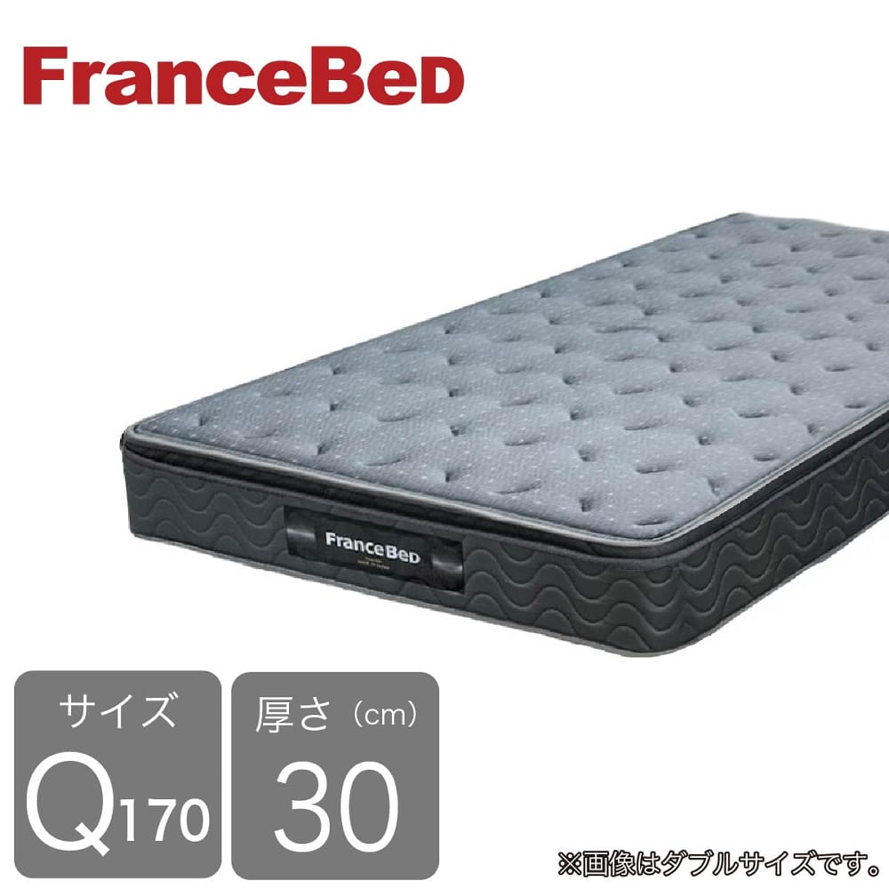 [フランスベッド] 皇后陛下170マットレス ハイジェニックユーロ ＰＷ ＢＡＥ (送りとどける員備え付ける)