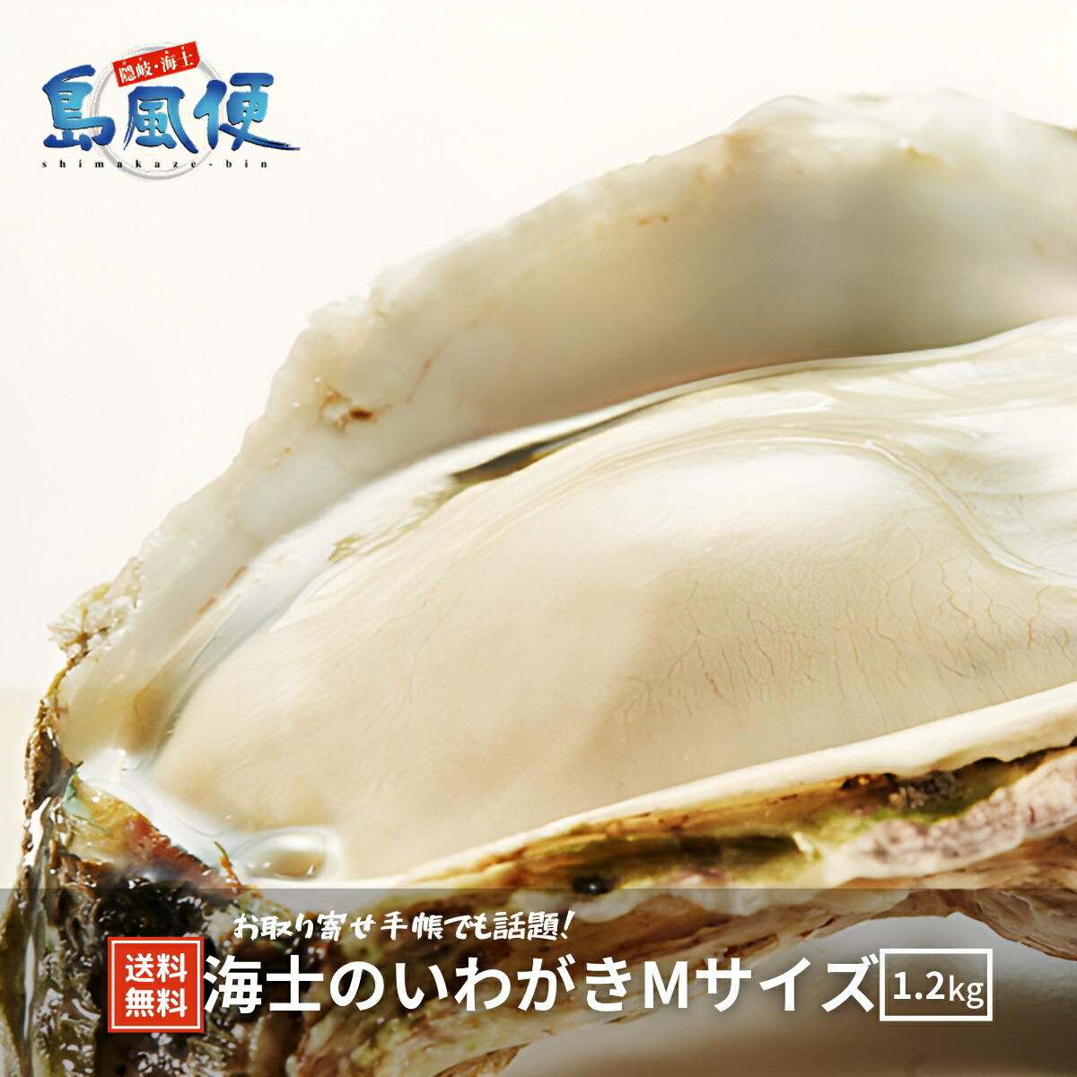 【隠岐島直送】【生食用殻付き】海士のいわがきＭサイズ5個セット　約 1.2Kg 生食 岩ガキ 岩がき 岩牡蛎 牡蠣 牡蛎 生牡蠣　生牡蛎 冷凍 殻付き 島根 ギフト 贈答用 御返し 島風生活 海士町 CAS