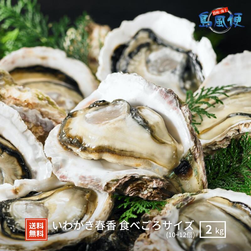 【隠岐島直送】いわがき春香 食べごろサイズ 約2kg10～12個 生食 岩ガキ 岩がき 岩牡蛎 牡蠣 牡蛎 生牡蠣　生牡蛎 冷凍 カンカン焼き 殻付き 島根 ギフト 贈答用 お返し 島風生活 海士町