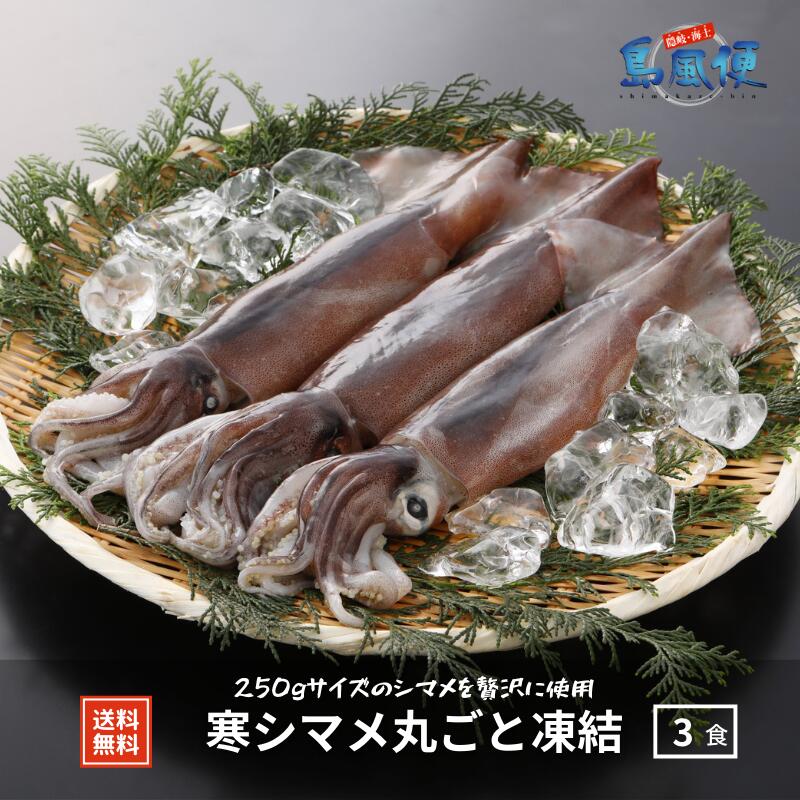 P10倍5 Offクーポン 7月23日まで寒シマメ丸ごと凍結 1杯約250ｇ スルメイカ 烏賊 お刺身 おつまみ いかそうめん 冷凍 国産 寒シマメ 肝 うり いかわた 塩辛 島根 隠岐 新鮮 産地直送 ギフト 贈答用 最大77 オフ