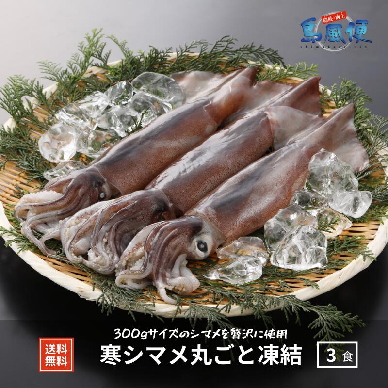 寒シマメ丸ごと凍結 1杯約300ｇ スルメイカ 烏賊 お刺身 おつまみ いかそうめん 冷凍 国産 寒シマメ 肝 うり いかわた 塩辛 島根 隠岐 新鮮 産地直送 ギフト 定番の中古商品