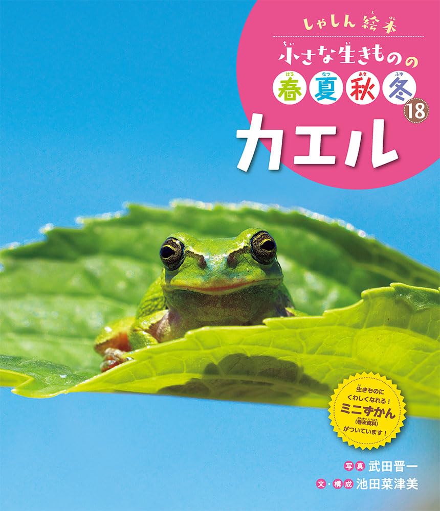 楽天市場】カエルの王子様の姫 Princess for Frog King オストハイマー