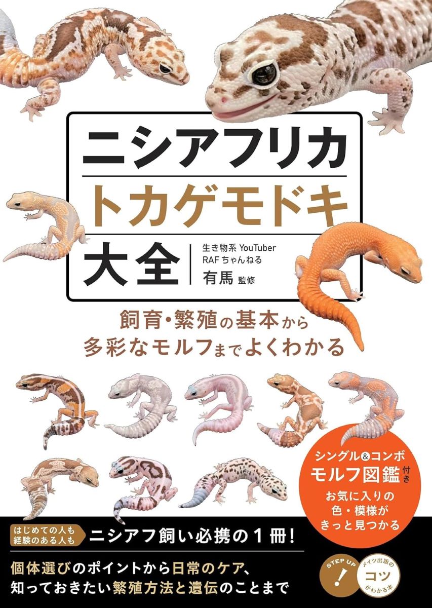 【値下げ中】カブリモドキ　飼育交雑個体③ 楽天市場】ニシアフリカトカゲモドキ大全 飼育・繁殖の基本から多彩な