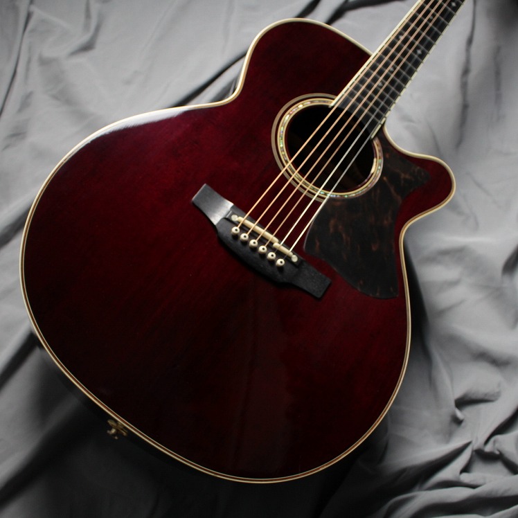 格安SALEスタート】 Takamine タカミネ DMP50S エレクトリック