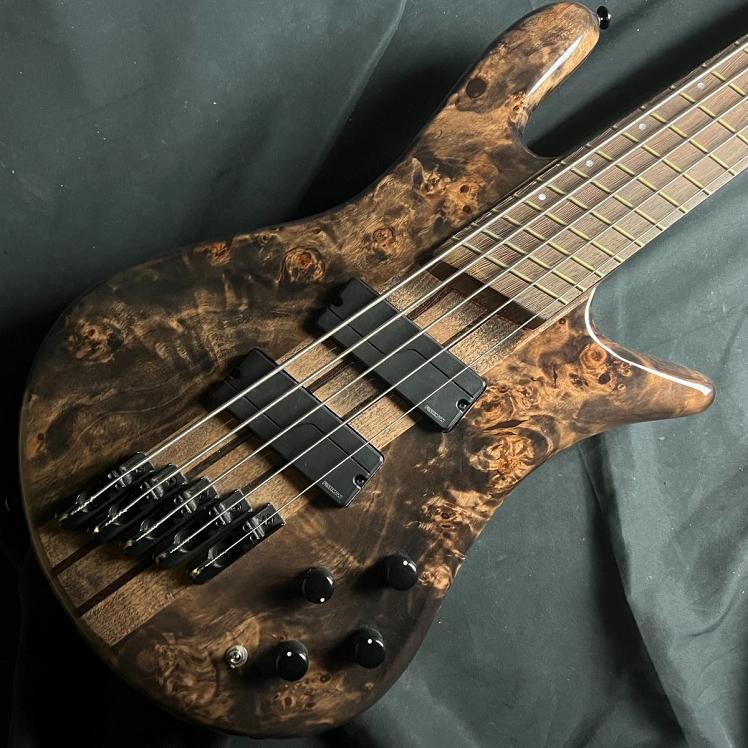 【中古】Spector（スペクター）/ NS DIMENSION 5【USED】【横浜ビブレ店】(2500004131376)｜島村楽器　USED SHOP