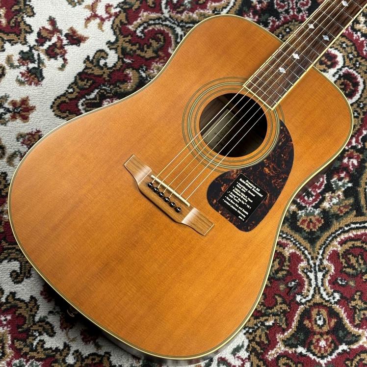 楽天市場】Epiphone DR-500MCE Natural 新品 オール単板ボディ