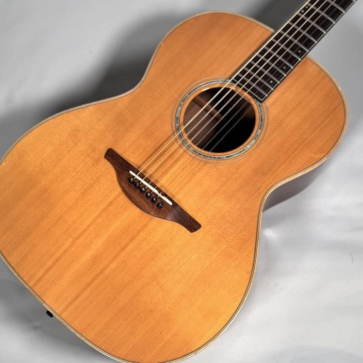 楽天市場】HISTORY ヒストリー/アコースティックギター/HMG-C TS