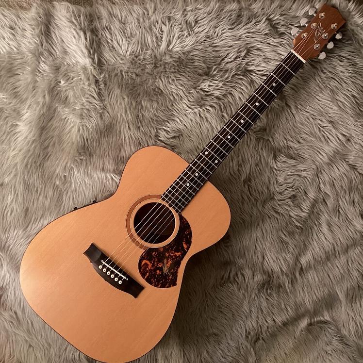 Maton メイトン EBW808C 中古 楽天市場】【中古】 hi◇92 MATON EBW808 メイトン