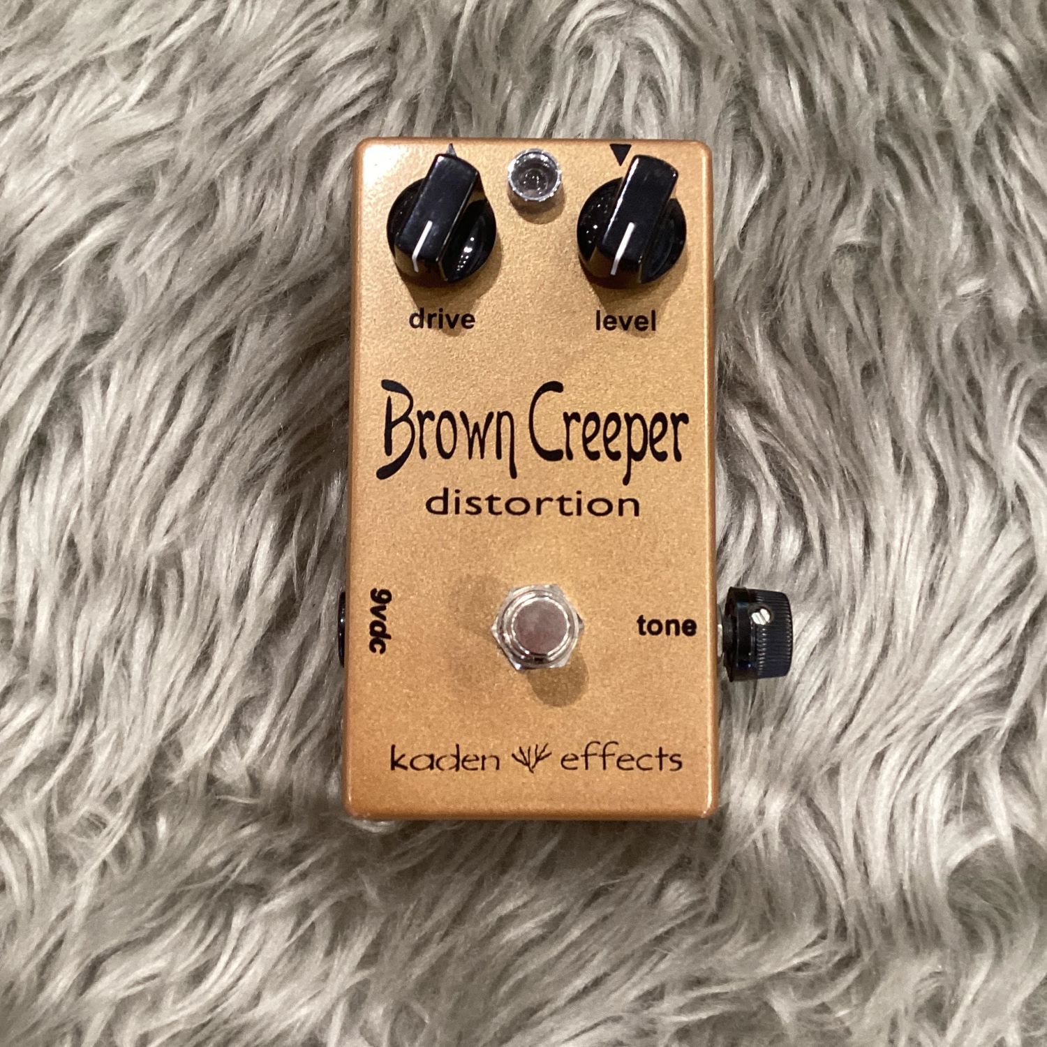 【中古】Kaden Effects(カーデンエフェクツ)/ Brown Creeper【中古品】【現物画像】【USED】【ららぽーと柏の葉店】(2500003222259)|島村楽器 USED SHOP