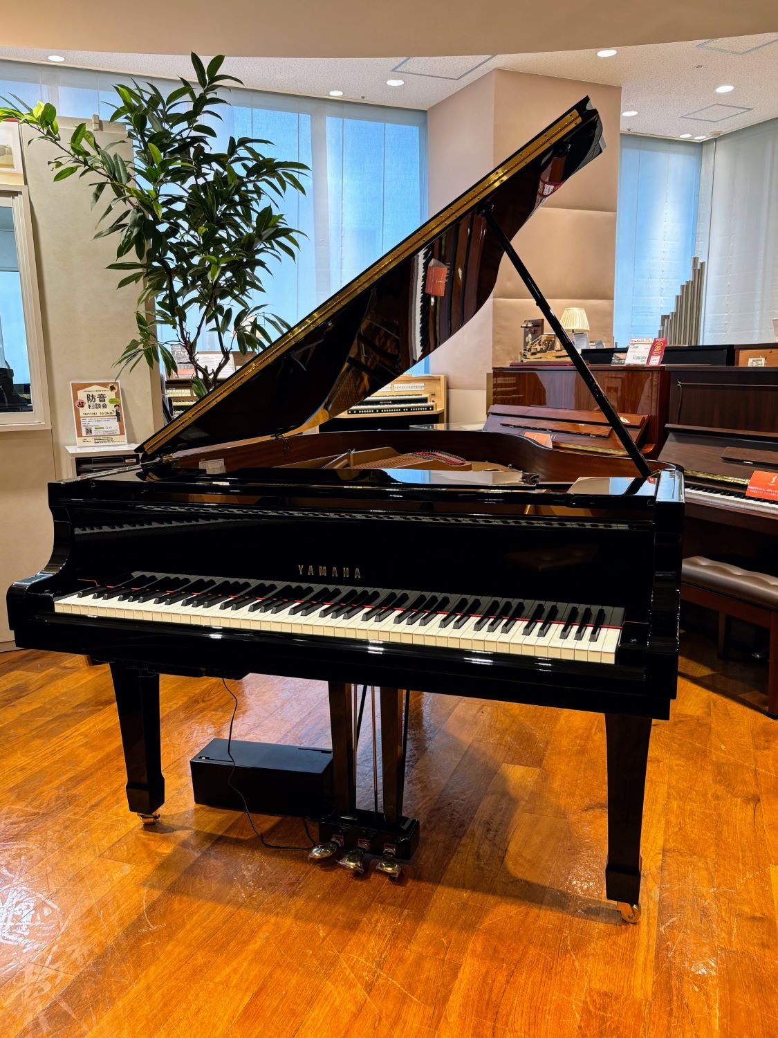 【中古】YAMAHA(ヤマハ)/ C3SN/VSH3-3【USED】【横浜みなとみらい店】(2500004200591)|島村楽器 USED SHOP