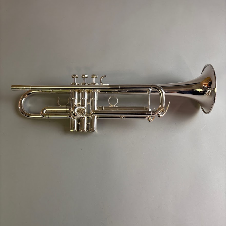 【中古】Schilke（シルキー）/ S23HD【USED】【そよら成田ニュータウン店】(2500003848534)