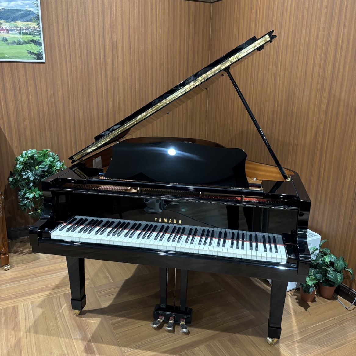 【中古】YAMAHA(ヤマハ)/ /C3【USED】【イオンモール豊川店】(2500004226010)|島村楽器 USED SHOP