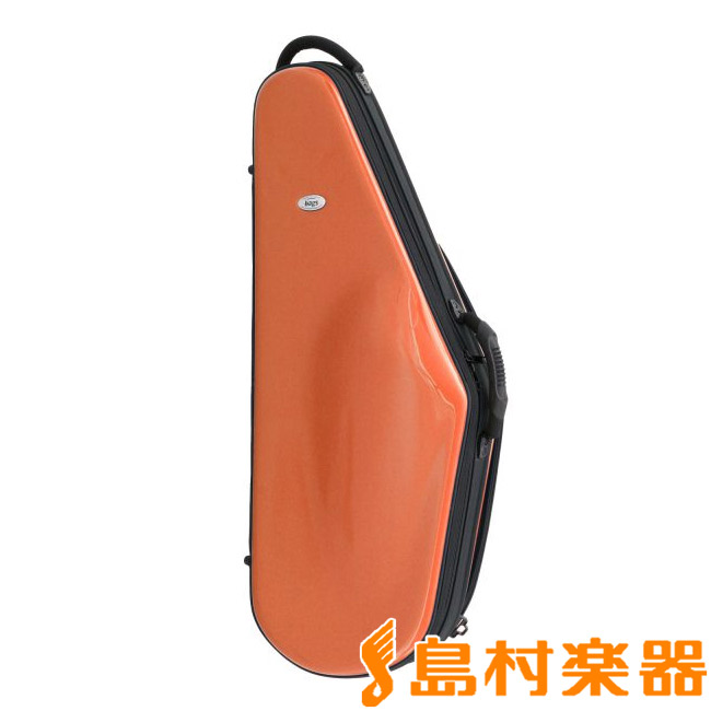 楽天市場】bags EVOLUTION TENOR SAX テナーサックス用 ハードケース F