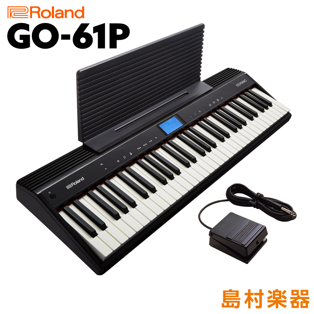 Roland JUSTY HK-100 ローランド 純正律キーボード Roland - JUSTY HK-100 | ハーモニー&リズム練習用キーボード(HK