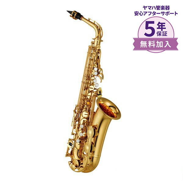 楽天市場】YAMAHA YTS-62A アンバーラッカー仕上げ テナーサックス ヤマハ 【予約受付中：2024/11/25発売予定】 : 島村楽器