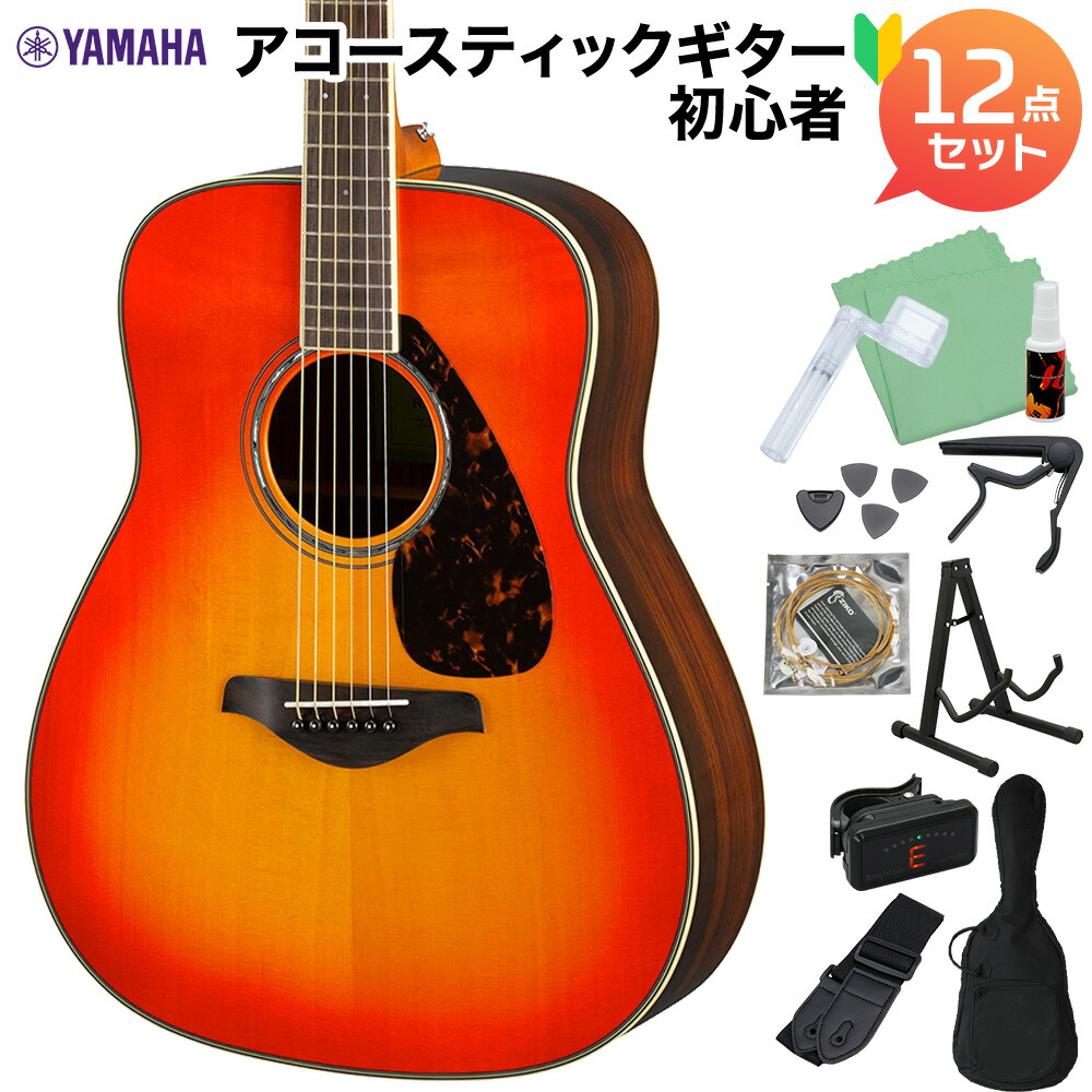 YAMAHA FG830 AB アコースティックギター初心者12点セット アコースティックギター