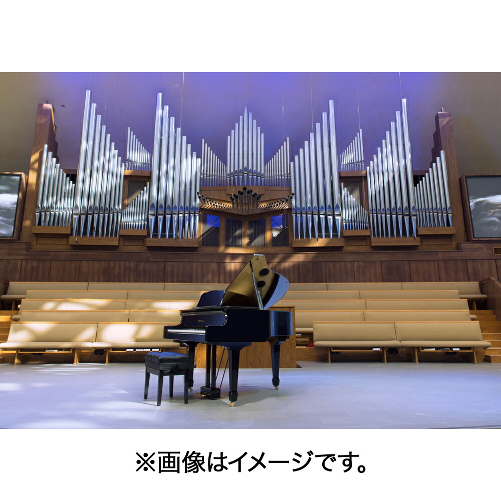 新作グッRoland GP609 PES 電子ピアノ 88鍵盤 楽器・音楽機材
