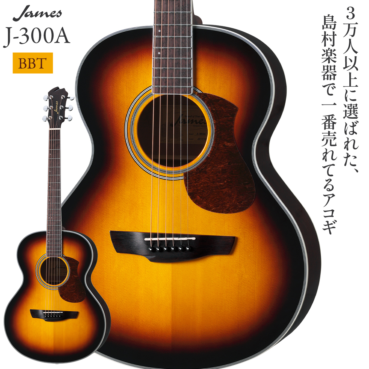 送料無料 アコースティックギターJames J-450A ※直接引取り限定