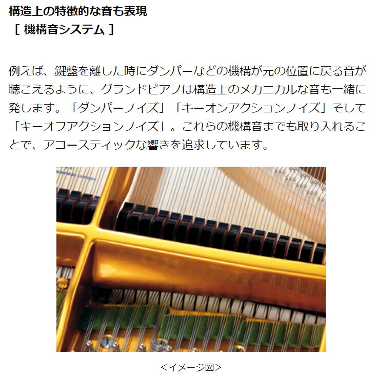 代引き人気 鍵盤 配送設置無料 お取り寄せ カシオ 電子ピアノセルヴィアーノ Ap 710bk 延長保証付 ヘッドフォン1個プレゼント Casio 電子ピアノ Www Rfppl Co In