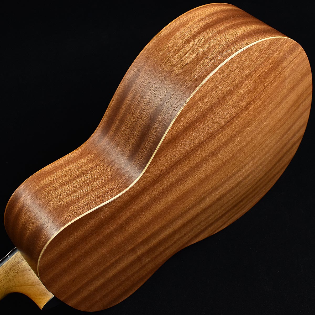 Gs S N 島村楽器 Gs 未展示品 Mini Mahogany Taylor テイラー Taylor Mini ミニアコースティックギター