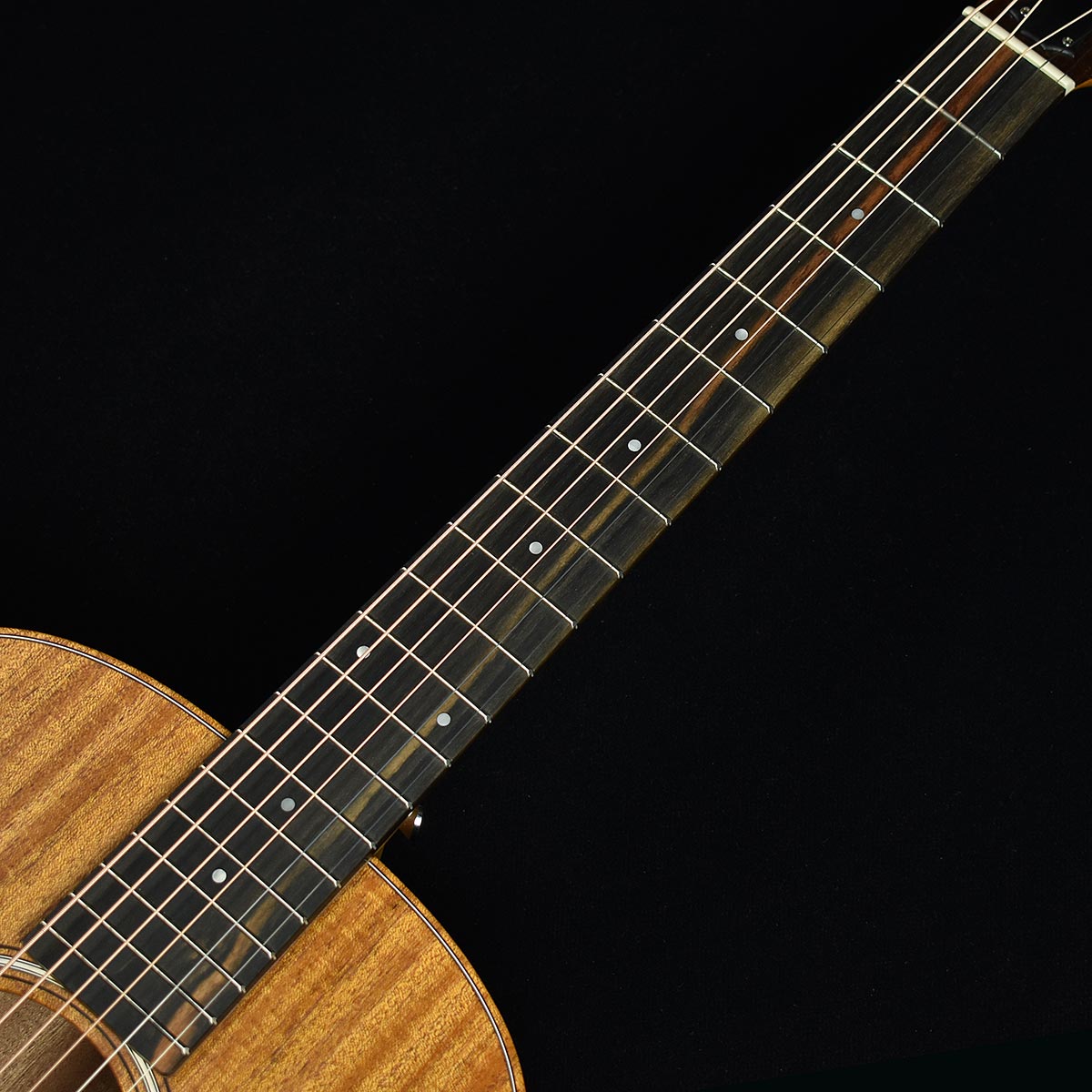 Gs S N 島村楽器 Gs 未展示品 Mini Mahogany Taylor テイラー Taylor Mini ミニアコースティックギター