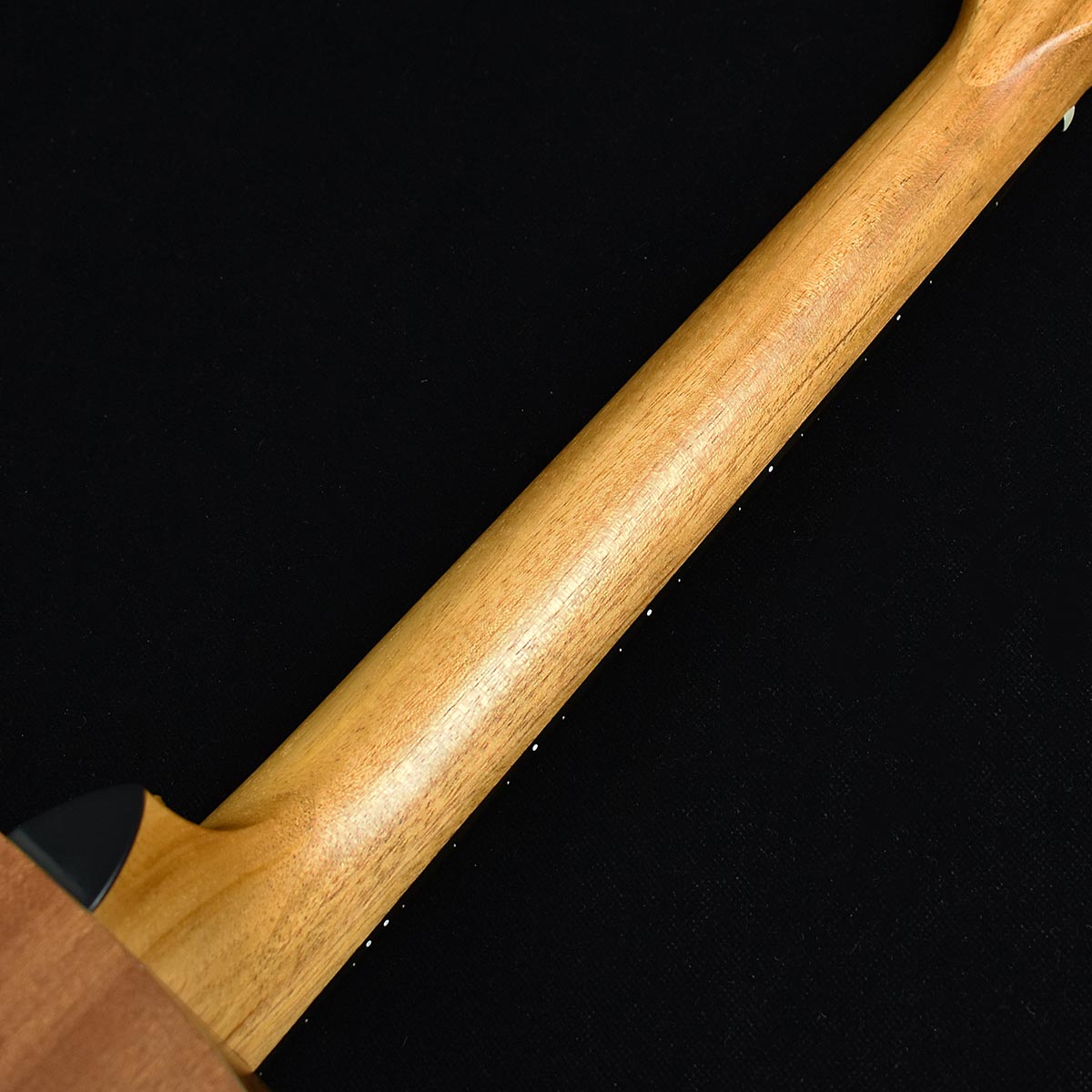 Gs S N 島村楽器 Gs 未展示品 Mini Mahogany Taylor テイラー Taylor Mini ミニアコースティックギター Gs S N 島村楽器 Gs 未展示品 Mini Mahogany Taylor テイラー Taylor Mini ミニアコースティックギター