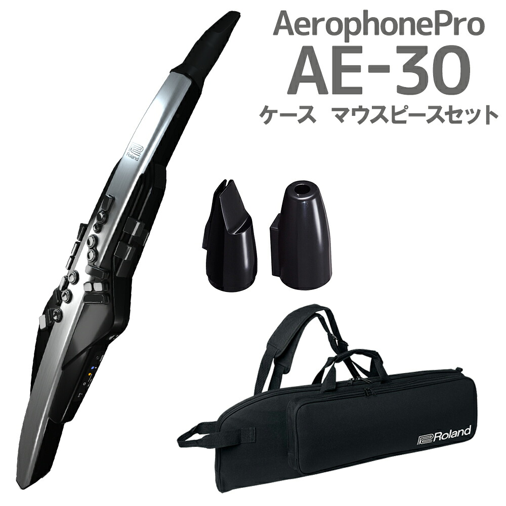Roland AE-30 Aerophone Pro ケース 交換用マウスピースセット ウインドシンセサイザー ローランド｜島村楽器