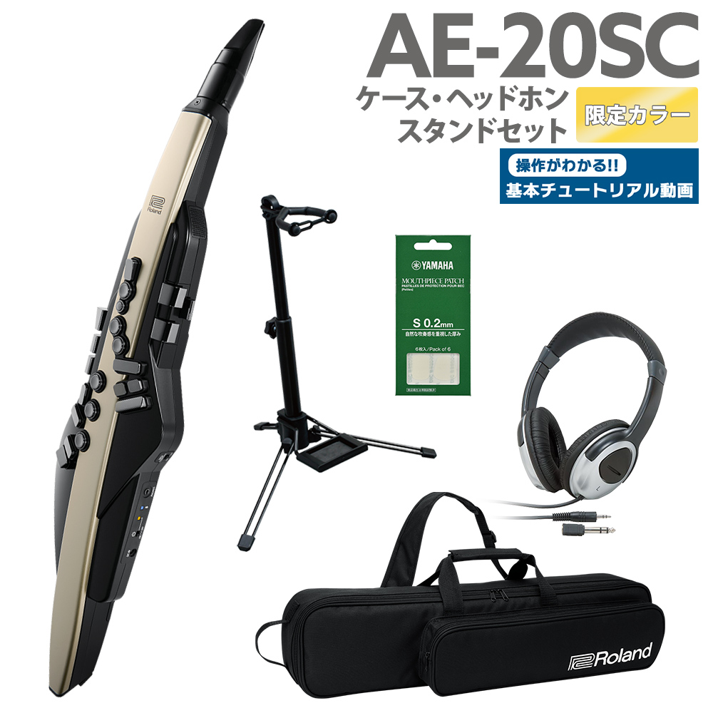 最新作格安u48724 Roland ローランド AE-20SC 中古 その他の木管楽器