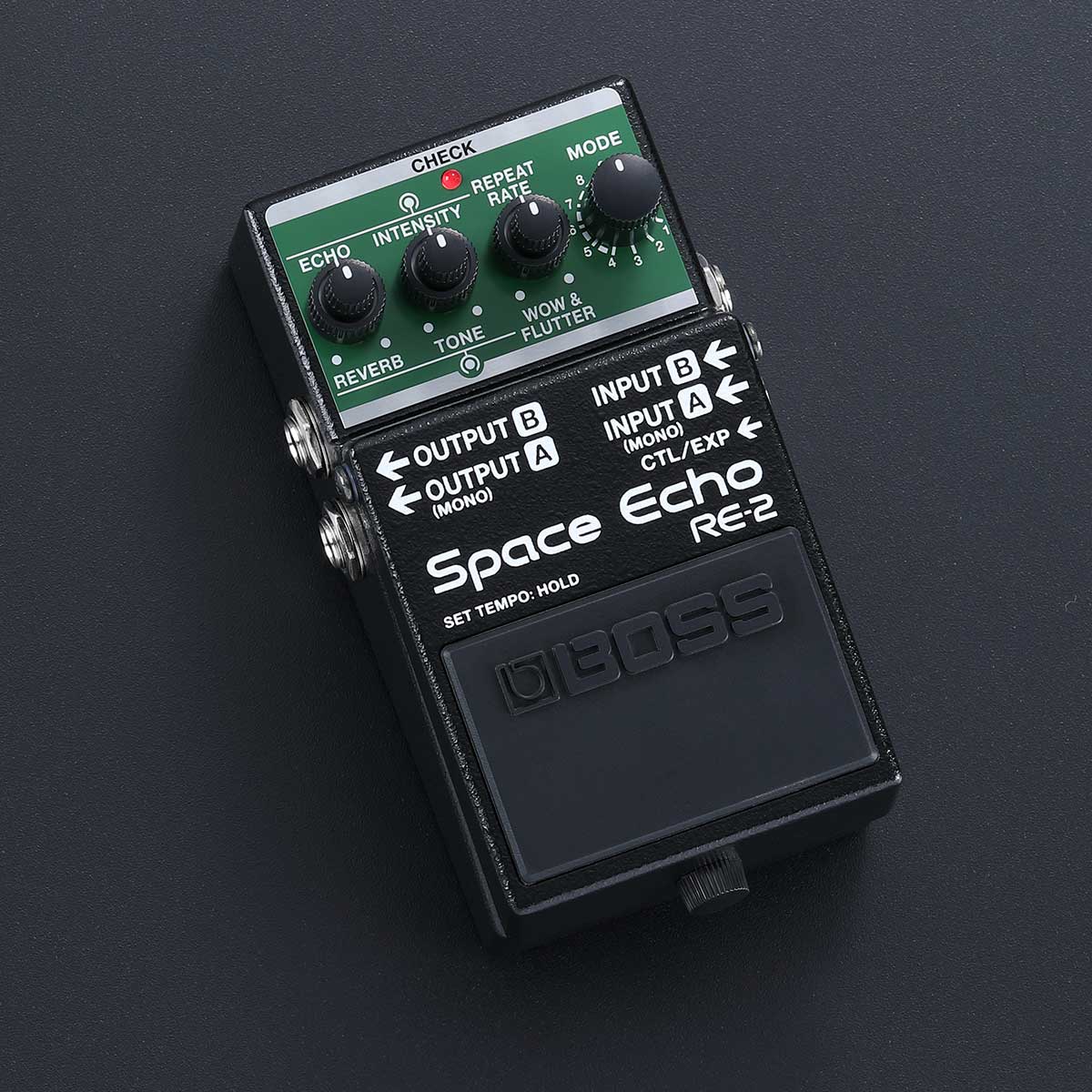 RE-20 SPACE ECHO/EV-5/セット | www.protegervacinas.com.br