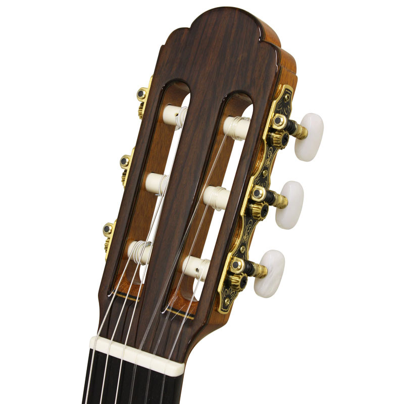 憧れ 新品、未使用 ARIA A-50C クラシックギター 650mm 杉単板／ローズ
