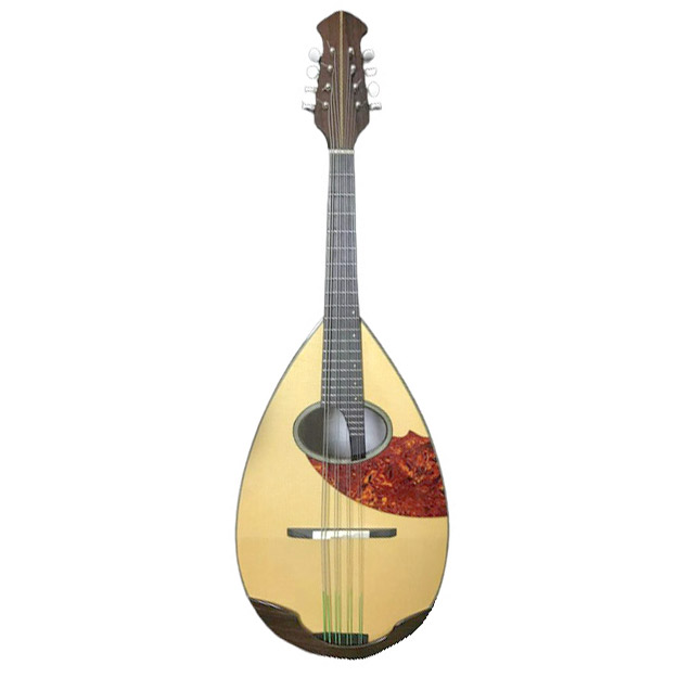楽天市場】Prestri Mandolin マンドリン初心者6点セット カラー