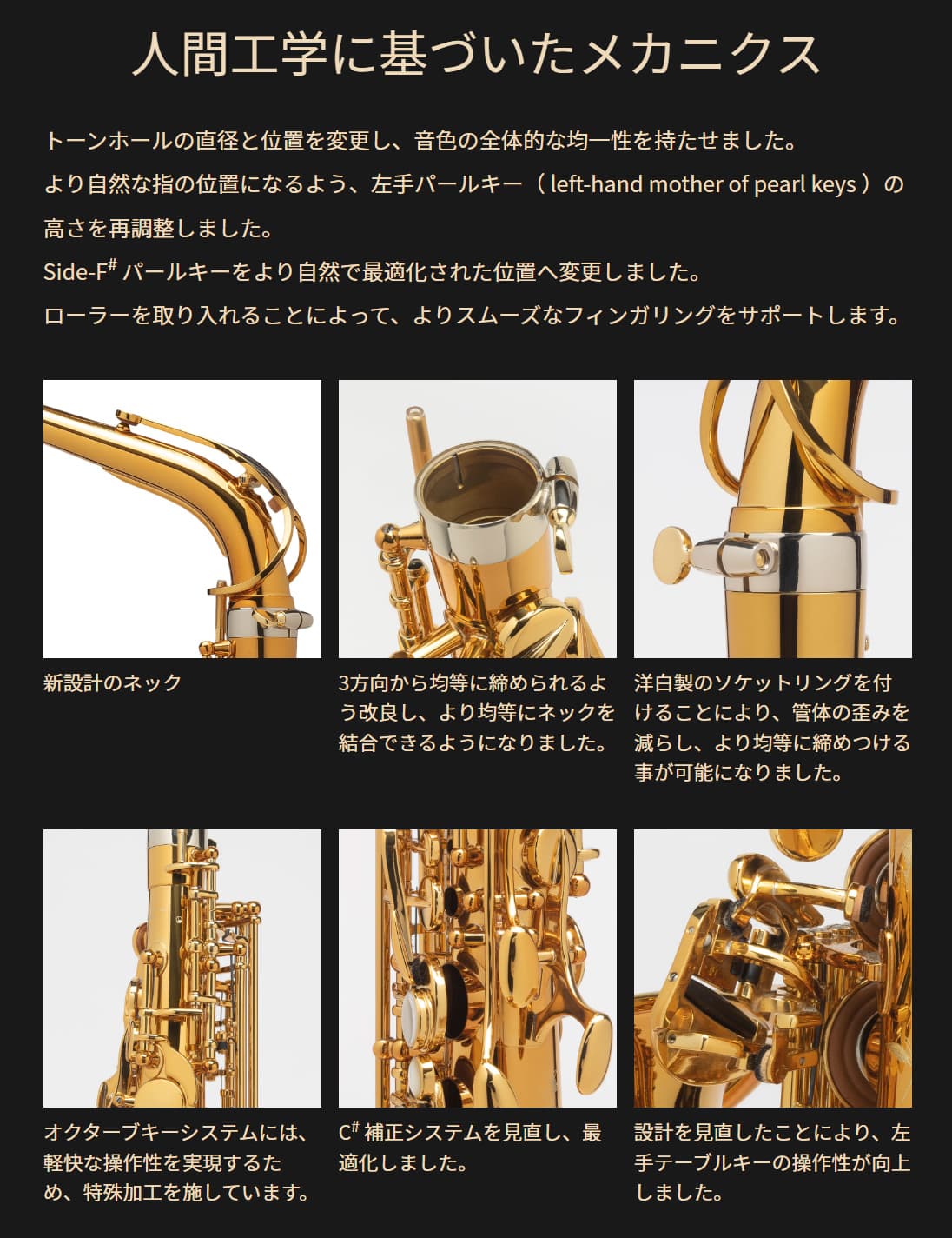 2021新入荷 H.Selmer Supreme AS アルトサックス ブラックラッカー fucoa.cl