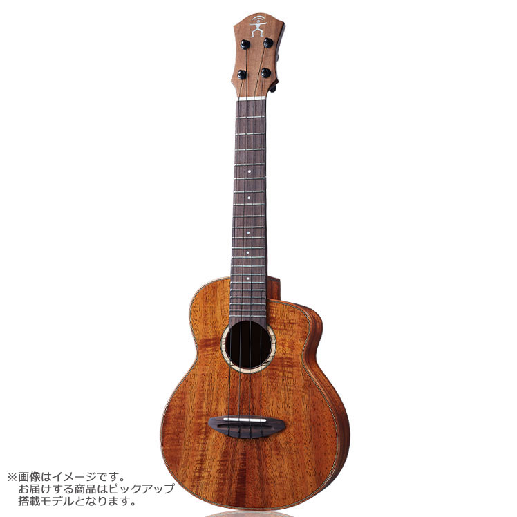 aNueNue UC1KE コンサートウクレレ ピックアップ搭載 2A Koa Bird Ukulele エレキウクレレ アヌエヌエ aNN-UC1KE