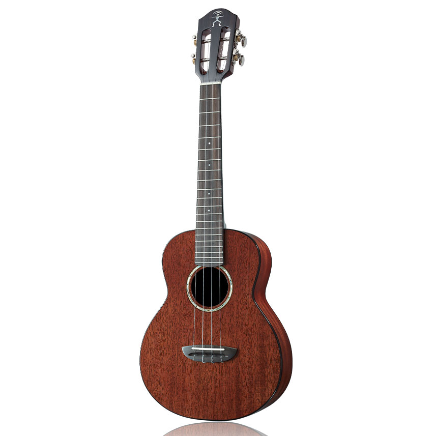 aNueNue AMM3 テナーウクレレ African Mahogany アヌエヌエ aNN-AMM3