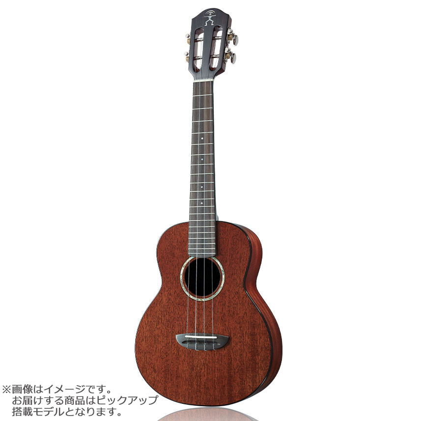 aNueNue AMM3E テナーウクレレ ピックアップ搭載 African Mahogany エレキウクレレ アヌエヌエ aNN-AMM3E